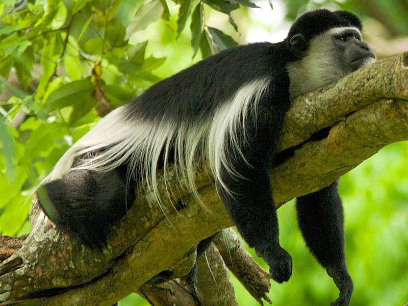 Arusha National Park