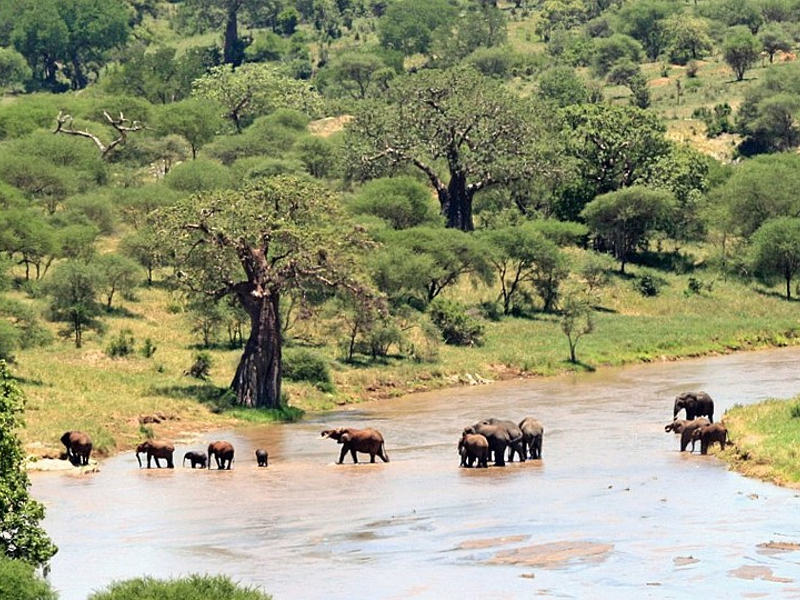 Tarangire National Park