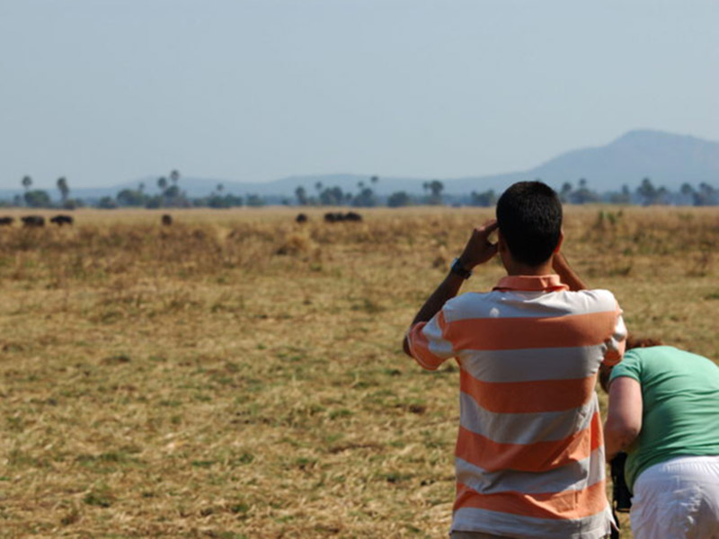 Tours By Locals in Tanzania