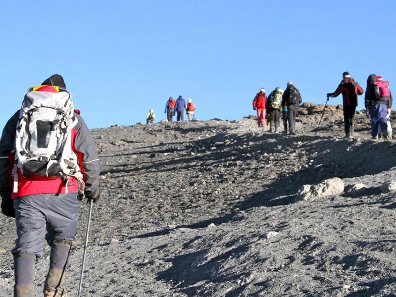 Kilimanjaro Climb - Lemosho Route