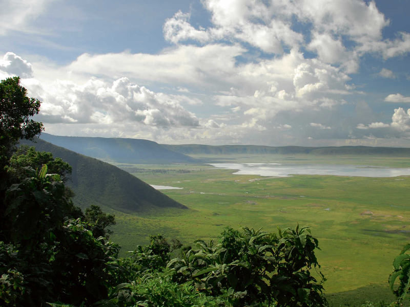 Wildebeest Migration Safari